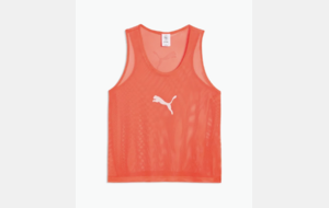 teamADDITIONS Bib