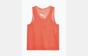 teamADDITIONS Bib